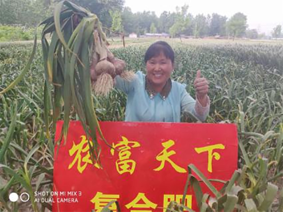 小麥玉米專用高氮復合肥料26-11-11-農(nóng)富天下6