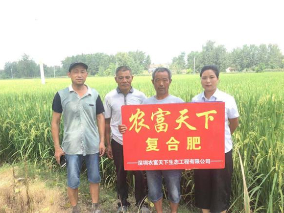 小麥玉米專用高氮復合肥料26-11-11-農(nóng)富天下5
