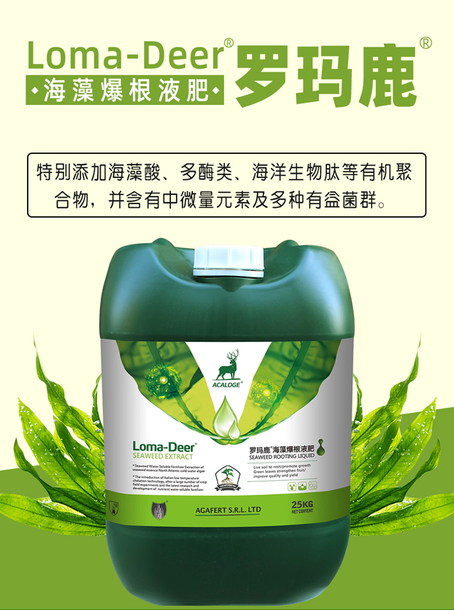 ����Һ��-���L_01