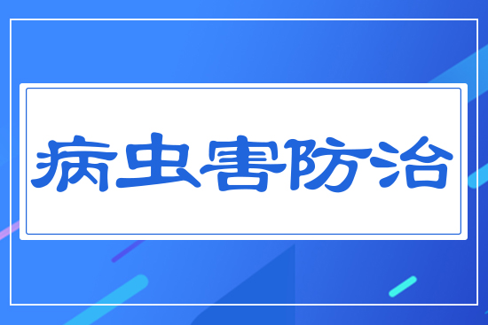 ���x������