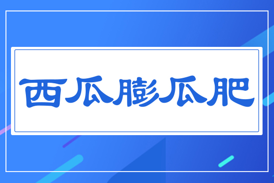 ������Ϸ�