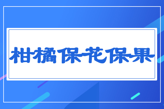 ���ٱ�������