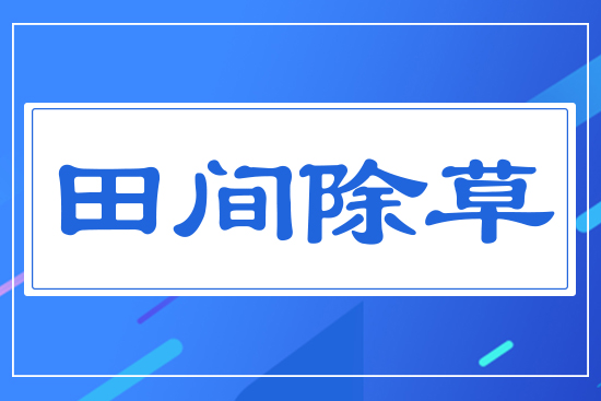 ���g����