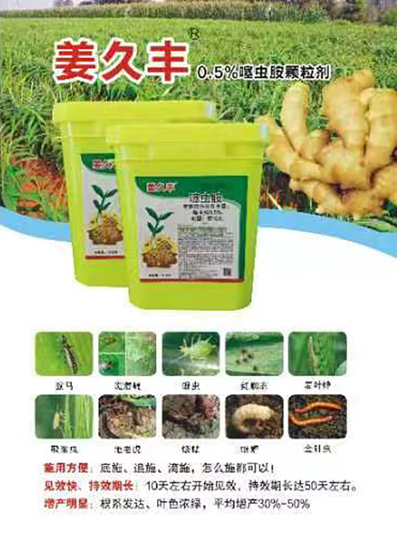 ΢�ňDƬ_20240102084645