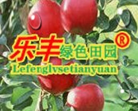 ɽ�|���S����Ƽ����޹�˾