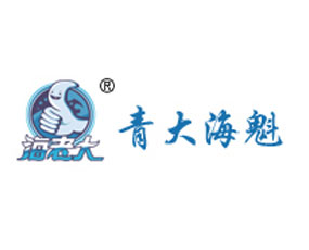 青大?？锛夹g(shù)有限公司