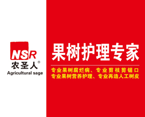 山東農圣人生物科技有限公司