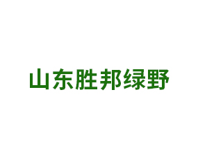 山東勝邦綠野化學(xué)有限公司