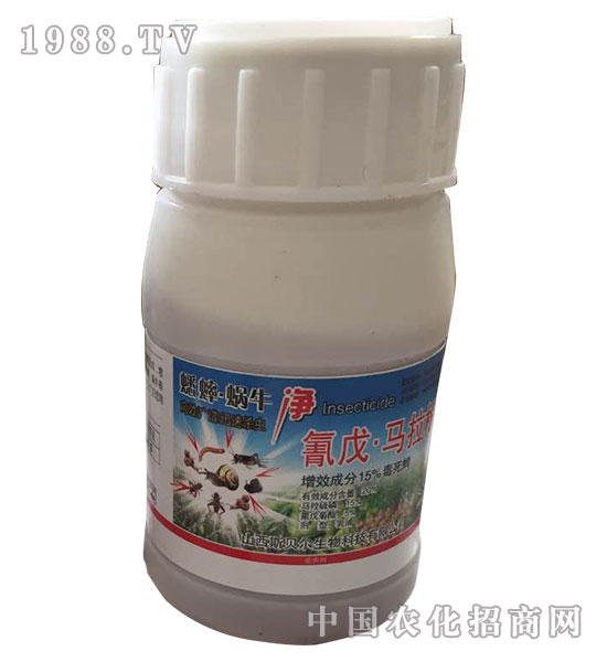 15%�����R����-��΁ţ��-�����rˎ