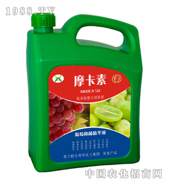 �����־����AҺ-Ħ����-��(qi��ng)о��(gu��)�H