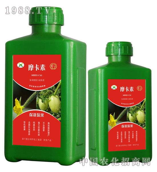 ?；ū９被狎弦弘姆?摩卡素-強(qiáng)芯國(guó)際