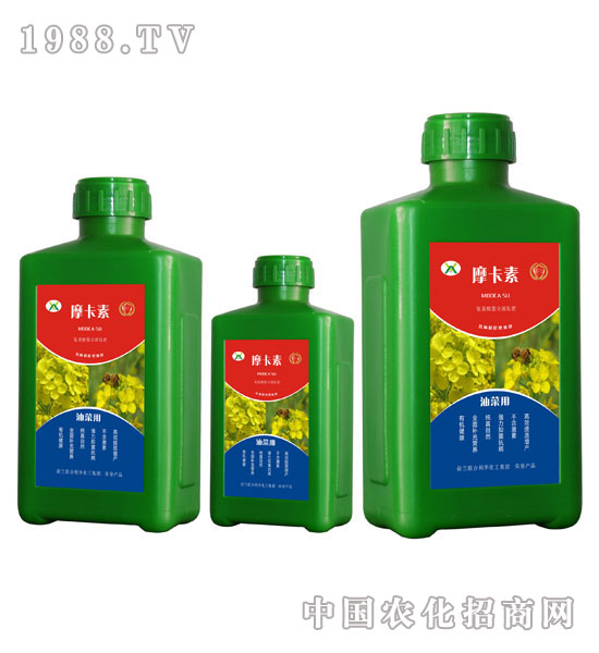 �Ͳˌ��ð���������Һ�ķ�-Ħ����-��(qi��ng)о��(gu��)�H