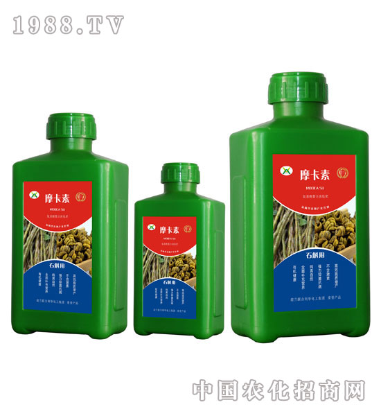 ʯ�����ð���������Һ�ķ�-Ħ����-��(qi��ng)о��(gu��)�H