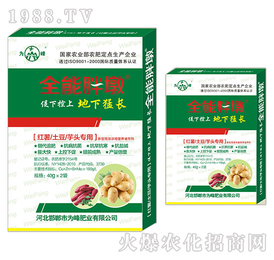 �t�������������^����-ȫ���ֶ�-���