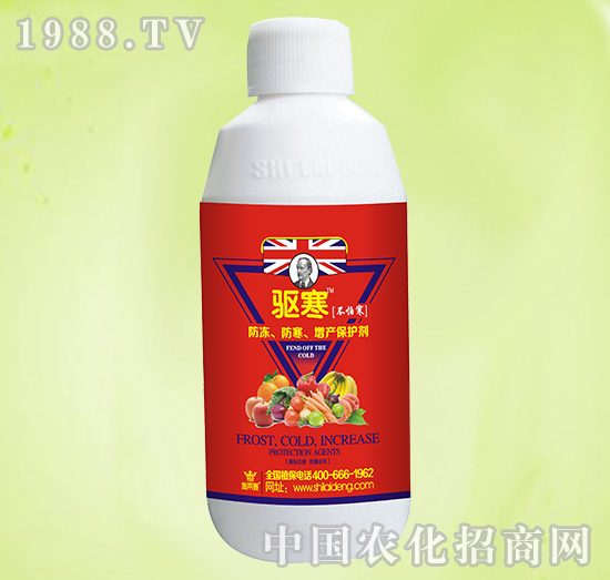 򌺮��ʩ�R�ǿ�������