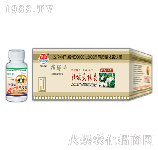 50g���Ҝ���`-�挚�r(n��ng)��