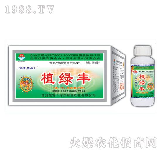 ֲ�G�S2009-�挚�r��