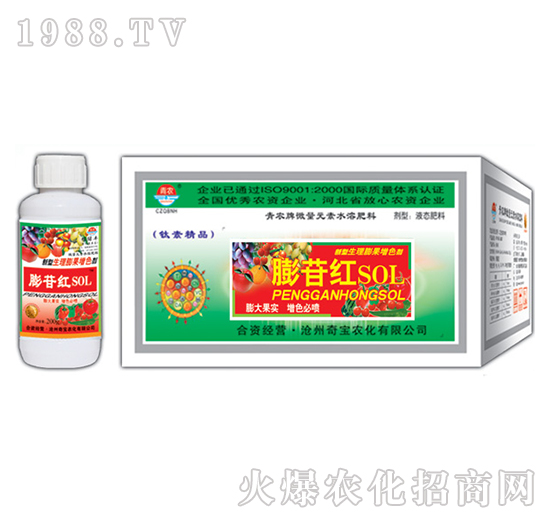 200g���ռt-�挚�r��