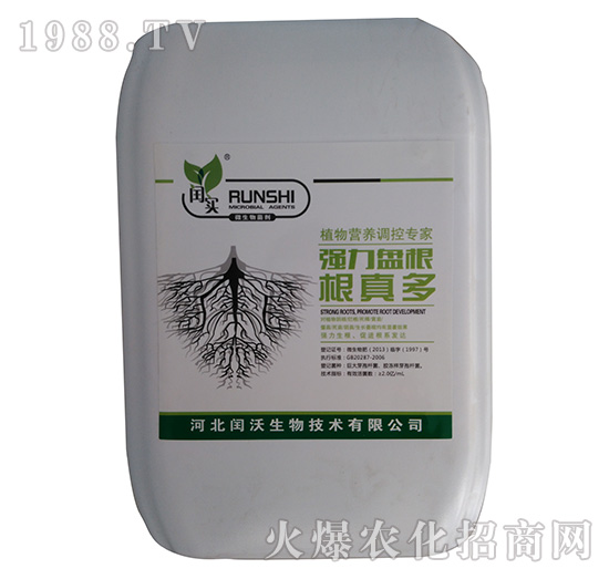 強(qiáng)力盤(pán)根根真多-閏沃