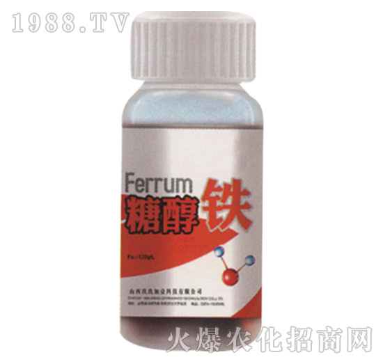 �Ǵ��F-������Ҽ