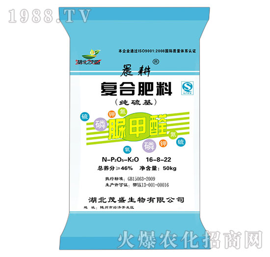 ���ȩ�ͺϷ���16-8-22-����-ïʢ