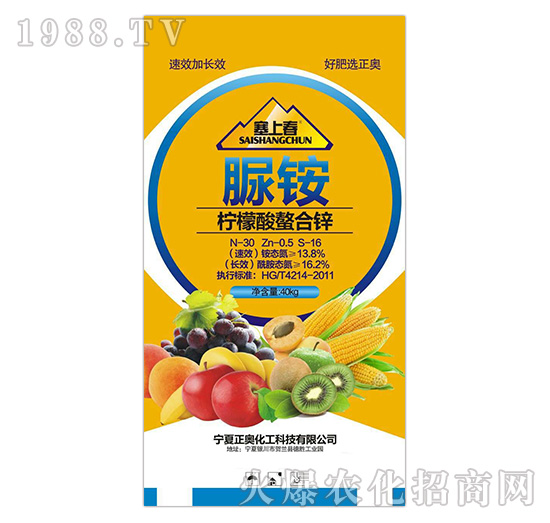 �����������\���@-���ϴ�-���W����