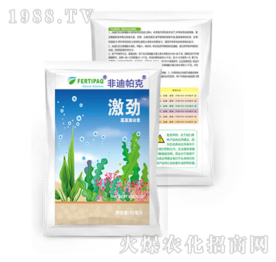 ����-�ǵ�����-չ�i����