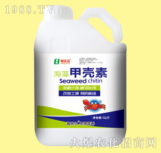 ����ך���-嫘�(l��)��