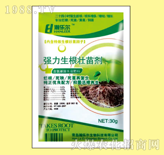 �����������焩-嫘���