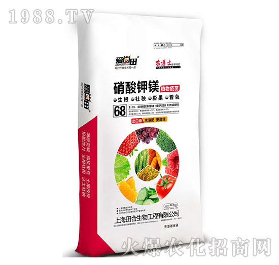 ������Vֲ������-��(��i)����-�������