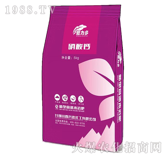 �����}-������-�d�_����