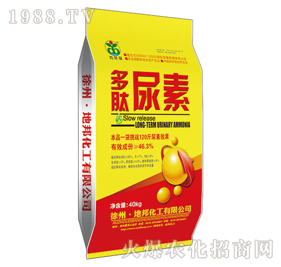 ��������-�ذ�Ȫ