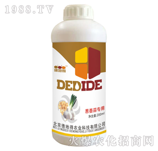 �[���⌣��-�µص�