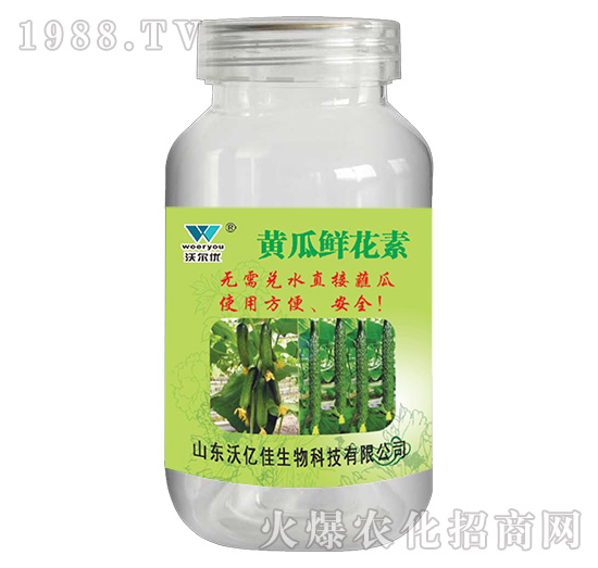 �S���r����-�֠���(y��u)