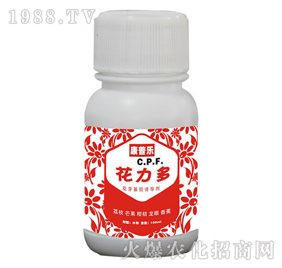 �����ࣨ��ѿ�����T������-�r(n��ng)�_����