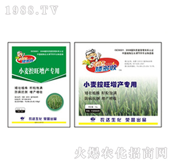 С���������a����-������-�r�_����