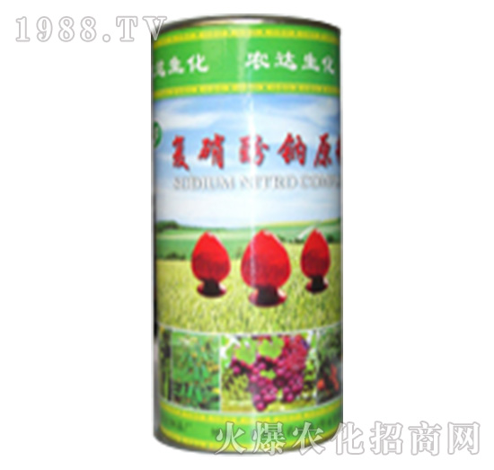 �߼��ȏͺ��������c-�r�_����