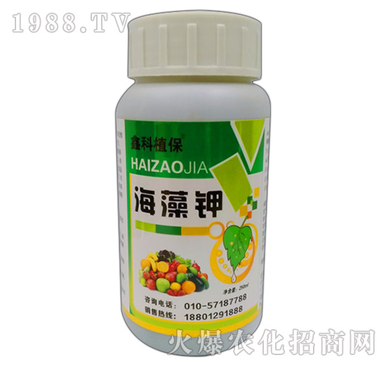 �����-�ο�ֲ��