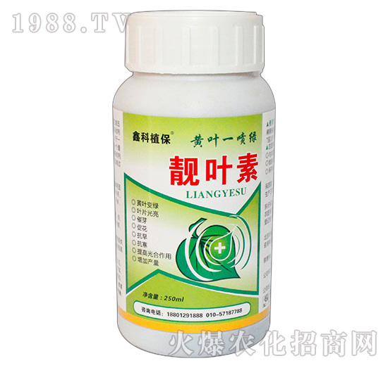 �n�~��-�ο�ֲ��