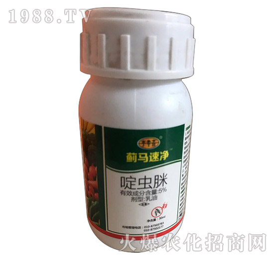 5%��x(ch��ng)��-�E�R�ك�-��̩��