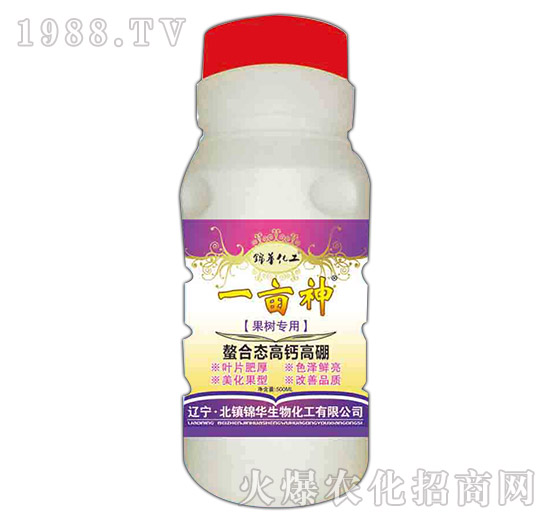 ����(sh��)�������ϑB(t��i)���}����-һ����