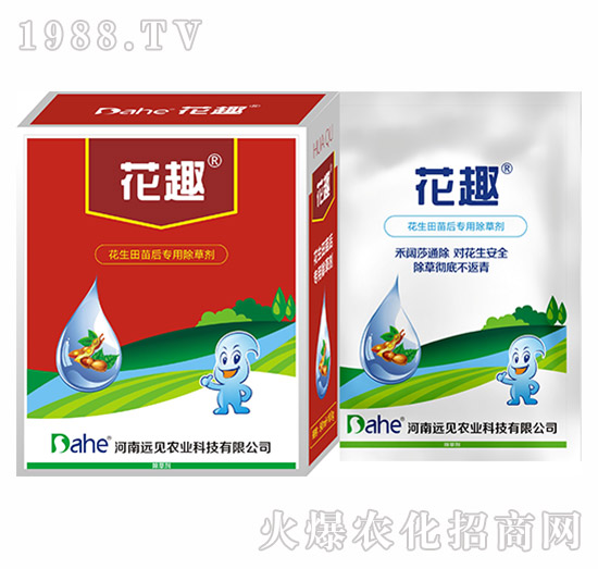 花趣-遠(yuǎn)見(jiàn)農(nóng)業(yè)