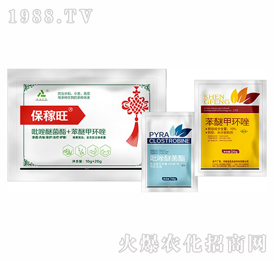 ���������b�M��-�h(yu��n)Ҋ�r(n��ng)�I(y��)