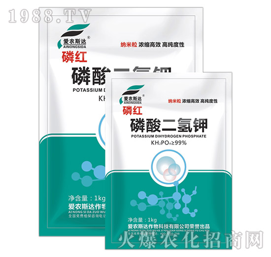 ��������-�׼t-���r(n��ng)˹�_