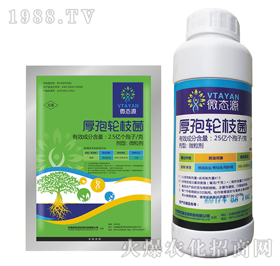 厚孢輪枝菌-微態(tài)源-銳邁特