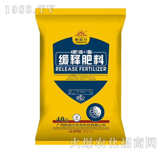 ��ጷ���-����