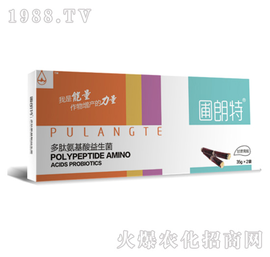 ��������-���İ�����������-������