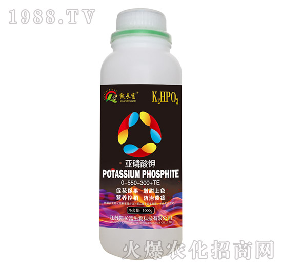 �������-�P�L��