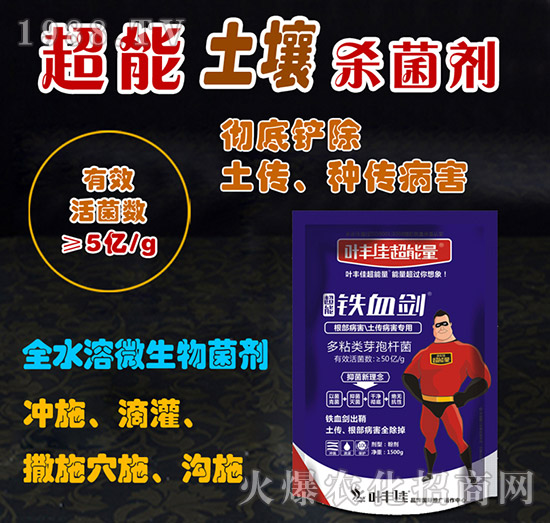 ����������������������-�FѪ��-�~�S�ѳ�����