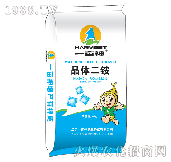 ���w���@-һ����